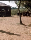 1987_-_Square_Dance_mp45768.jpg