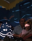 Filename=1990_-_Mermaids_mp44107.jpg
Filesize=939KiB
Dimensions=1920x1040
Date added=Jul 24, 2023 1990_-_Mermaids_mp44107.jpg