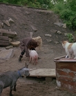 1990_-_Welcome_Home_Roxy_Carmichael_mp40390.jpg