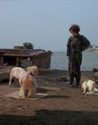 1990_-_Welcome_Home_Roxy_Carmichael_mp40758.jpg