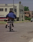 Filename=1990_-_Welcome_Home_Roxy_Carmichael_mp41636.jpg
Filesize=922KiB
Dimensions=1436x1080
Date added=Jul 24, 2023 1990_-_Welcome_Home_Roxy_Carmichael_mp41636.jpg