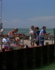 Filename=1990_-_Welcome_Home_Roxy_Carmichael_mp41806.jpg
Filesize=795KiB
Dimensions=1436x1080
Date added=Jul 24, 2023 1990_-_Welcome_Home_Roxy_Carmichael_mp41806.jpg