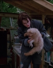 Filename=1990_-_Welcome_Home_Roxy_Carmichael_mp43281.jpg
Filesize=745KiB
Dimensions=1436x1080
Date added=Jul 24, 2023 1990_-_Welcome_Home_Roxy_Carmichael_mp43281.jpg