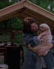 Filename=1990_-_Welcome_Home_Roxy_Carmichael_mp43283.jpg
Filesize=767KiB
Dimensions=1436x1080
Date added=Jul 24, 2023 1990_-_Welcome_Home_Roxy_Carmichael_mp43283.jpg