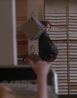 Filename=1990_-_Welcome_Home_Roxy_Carmichael_mp43413.jpg
Filesize=705KiB
Dimensions=1436x1080
Date added=Jul 24, 2023 1990_-_Welcome_Home_Roxy_Carmichael_mp43413.jpg