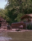 Filename=1990_-_Welcome_Home_Roxy_Carmichael_mp44445.jpg
Filesize=1130KiB
Dimensions=1436x1080
Date added=Jul 24, 2023 1990_-_Welcome_Home_Roxy_Carmichael_mp44445.jpg