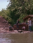 Filename=1990_-_Welcome_Home_Roxy_Carmichael_mp44450.jpg
Filesize=1151KiB
Dimensions=1436x1080
Date added=Jul 24, 2023 1990_-_Welcome_Home_Roxy_Carmichael_mp44450.jpg