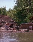 Filename=1990_-_Welcome_Home_Roxy_Carmichael_mp44461.jpg
Filesize=1135KiB
Dimensions=1436x1080
Date added=Jul 24, 2023 1990_-_Welcome_Home_Roxy_Carmichael_mp44461.jpg