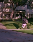 Filename=1990_-_Welcome_Home_Roxy_Carmichael_mp45388.jpg
Filesize=1091KiB
Dimensions=1436x1080
Date added=Jul 24, 2023 1990_-_Welcome_Home_Roxy_Carmichael_mp45388.jpg
