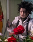 1990_-_Edward_Scissorhands_mp44444.jpg