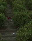 Filename=1995_-_How_To_Make_An_American_Quilt_mp45898.jpg
Filesize=1074KiB
Dimensions=1920x1040
Date added=Jul 29, 2023 1995_-_How_To_Make_An_American_Quilt_mp45898.jpg