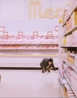 Filename=1999_-_Deleted_scenes_from_Girl_Interrupted_mp412612.jpg
Filesize=854KiB
Dimensions=1920x1080
Date added=Aug 09, 2023 1999_-_Deleted_scenes_from_Girl_Interrupted_mp412612.jpg