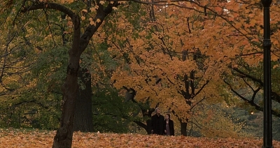 2000_-_Autumn_In_New_York_mp42093.jpg