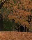 2000_-_Autumn_In_New_York_mp42095.jpg