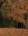 2000_-_Autumn_In_New_York_mp42096.jpg