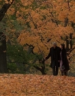 2000_-_Autumn_In_New_York_mp42109.jpg