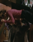 2002_-_Mr_Deeds_mp44441.jpg