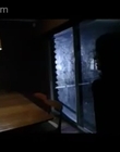 2007_-_Welcome_mp40152.jpg