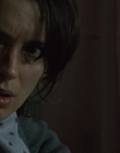 2010_-_Black_Swan_mp42369.jpg