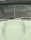 2015_-_Experimenter_mp42918.jpg