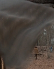 Filename=Stranger_Things_S01E01_mp41594.jpg
Filesize=1029KiB
Dimensions=1920x960
Date added=Jul 19, 2023 Stranger_Things_S01E01_mp41594.jpg