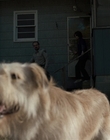 Filename=Stranger_Things_S01E01_mp41934.jpg
Filesize=969KiB
Dimensions=1920x960
Date added=Jul 19, 2023 Stranger_Things_S01E01_mp41934.jpg