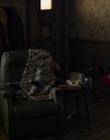 Filename=Stranger_Things_S01E03_mp46927.jpg
Filesize=812KiB
Dimensions=1920x960
Date added=Jul 19, 2023 Stranger_Things_S01E03_mp46927.jpg