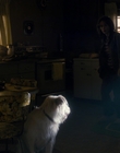 Filename=Stranger_Things_S01E03_mp48306.jpg
Filesize=794KiB
Dimensions=1920x960
Date added=Jul 19, 2023 Stranger_Things_S01E03_mp48306.jpg