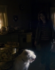 Filename=Stranger_Things_S01E03_mp48307.jpg
Filesize=800KiB
Dimensions=1920x960
Date added=Jul 19, 2023 Stranger_Things_S01E03_mp48307.jpg