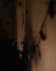 Filename=Stranger_Things_S01E03_mp48445.jpg
Filesize=707KiB
Dimensions=1920x960
Date added=Jul 19, 2023 Stranger_Things_S01E03_mp48445.jpg
