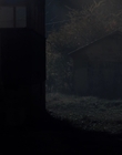 Filename=Stranger_Things_S01E04_mkv0297.jpg
Filesize=393KiB
Dimensions=1920x960
Date added=Jul 19, 2023 Stranger_Things_S01E04_mkv0297.jpg