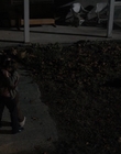 Stranger_Things_S01E04_mkv2804.jpg