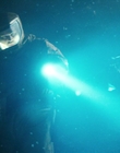 Filename=Stranger_Things_S01E08_mp46833.jpg
Filesize=881KiB
Dimensions=1920x960
Date added=Jul 19, 2023 Stranger_Things_S01E08_mp46833.jpg