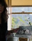 Filename=Stranger_Things_S02E02_mp40608.jpg
Filesize=851KiB
Dimensions=1920x960
Date added=Jul 21, 2023 Stranger_Things_S02E02_mp40608.jpg