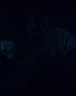 Filename=Stranger_Things_S02E05_mp45762.jpg
Filesize=565KiB
Dimensions=1920x960
Date added=Jul 21, 2023 Stranger_Things_S02E05_mp45762.jpg