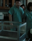 Filename=Stranger_Things_S02E06_mp47192.jpg
Filesize=825KiB
Dimensions=1920x960
Date added=Jul 21, 2023 Stranger_Things_S02E06_mp47192.jpg