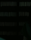 Filename=Stranger_Things_S02E08_mp41003.jpg
Filesize=503KiB
Dimensions=1920x960
Date added=Jul 21, 2023 Stranger_Things_S02E08_mp41003.jpg