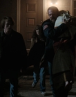 Filename=Stranger_Things_S02E09_mp43453.jpg
Filesize=609KiB
Dimensions=1920x960
Date added=Jul 21, 2023 Stranger_Things_S02E09_mp43453.jpg