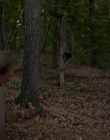 Filename=Stranger_Things_S03E03_mp46375.jpg
Filesize=950KiB
Dimensions=1920x960
Date added=Jul 22, 2023 Stranger_Things_S03E03_mp46375.jpg