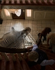 Filename=Stranger_Things_S03E04_mp41625.jpg
Filesize=1077KiB
Dimensions=1920x960
Date added=Jul 22, 2023 Stranger_Things_S03E04_mp41625.jpg