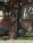 Filename=Stranger_Things_S04E01_mp43181.jpg
Filesize=1394KiB
Dimensions=1920x960
Date added=Jul 22, 2023 Stranger_Things_S04E01_mp43181.jpg