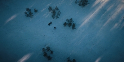 Stranger_Things_S04E06_mp47020.jpg