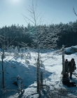 Filename=Stranger_Things_S04E06_mp45139.jpg
Filesize=1468KiB
Dimensions=1920x960
Date added=Jul 23, 2023 Stranger_Things_S04E06_mp45139.jpg