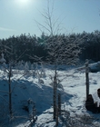 Filename=Stranger_Things_S04E06_mp45203.jpg
Filesize=1477KiB
Dimensions=1920x960
Date added=Jul 23, 2023 Stranger_Things_S04E06_mp45203.jpg