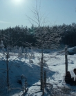 Filename=Stranger_Things_S04E06_mp45204.jpg
Filesize=1471KiB
Dimensions=1920x960
Date added=Jul 23, 2023 Stranger_Things_S04E06_mp45204.jpg