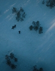 Filename=Stranger_Things_S04E06_mp47020.jpg
Filesize=929KiB
Dimensions=1920x960
Date added=Jul 23, 2023 Stranger_Things_S04E06_mp47020.jpg