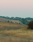 Filename=2018_-_Destination_Wedding_mp42308.jpg
Filesize=891KiB
Dimensions=1920x804
Date added=Aug 08, 2023 2018_-_Destination_Wedding_mp42308.jpg