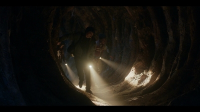 Stranger_Things_S05E05_mkv0550.jpg