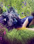 Filename=10.jpg
Filesize=606KiB
Dimensions=2060x1400
Date added=Sep 29, 2024 10.jpg