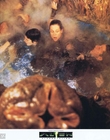 Filename=AlienResurrectionNEW_28129.jpg
Filesize=122KiB
Dimensions=1100x863
Date added=Aug 27, 2023 AlienResurrectionNEW_28129.jpg